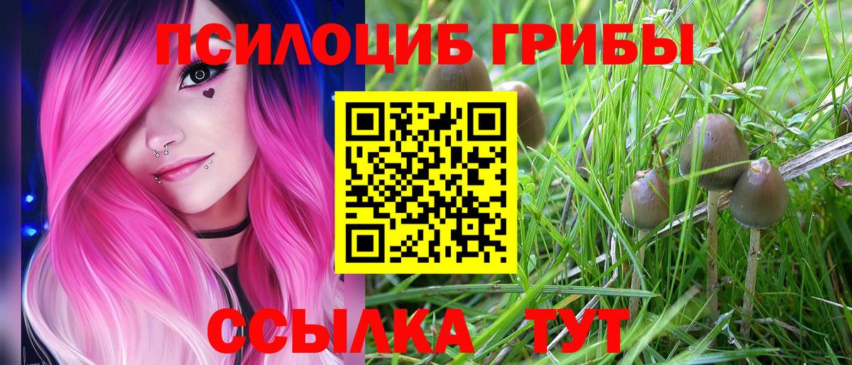 Псилоцибиновые грибы Psilocybe  Вход с VPN  Псилоцибиновые грибы мухоморы  Норильск 