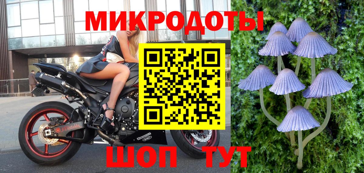 Псилоцибиновые грибы Cubensis Норильск